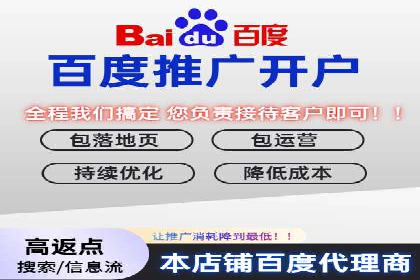 成功案例：SEM竞价托管的策略与效果